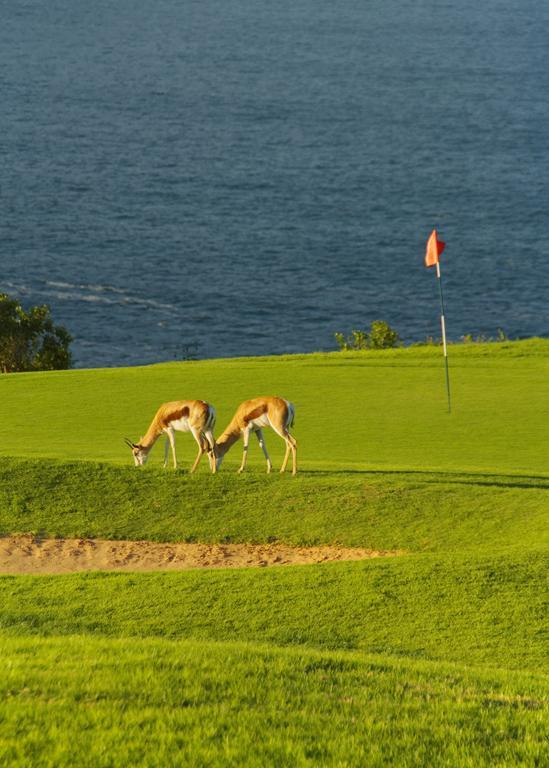 Mossel Bay Golf Lodge Exterior photo